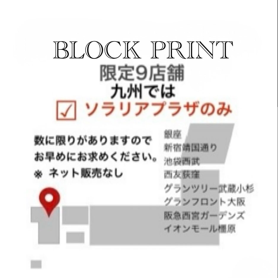 ソラリアプラザ】インドの伝統工芸─BLOCK PRINT届きました―│限定商品